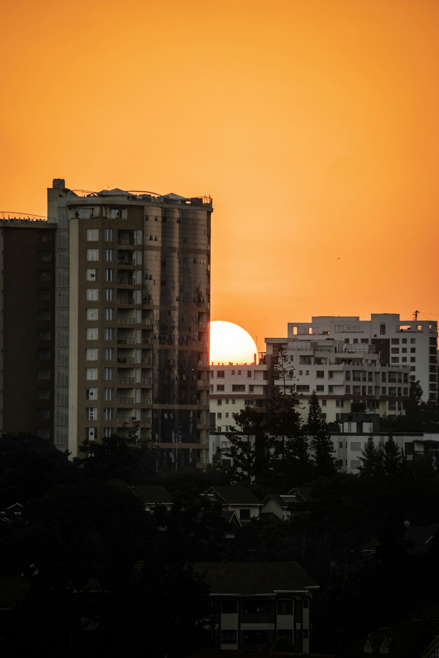 City buildings silhouetted against a sunset