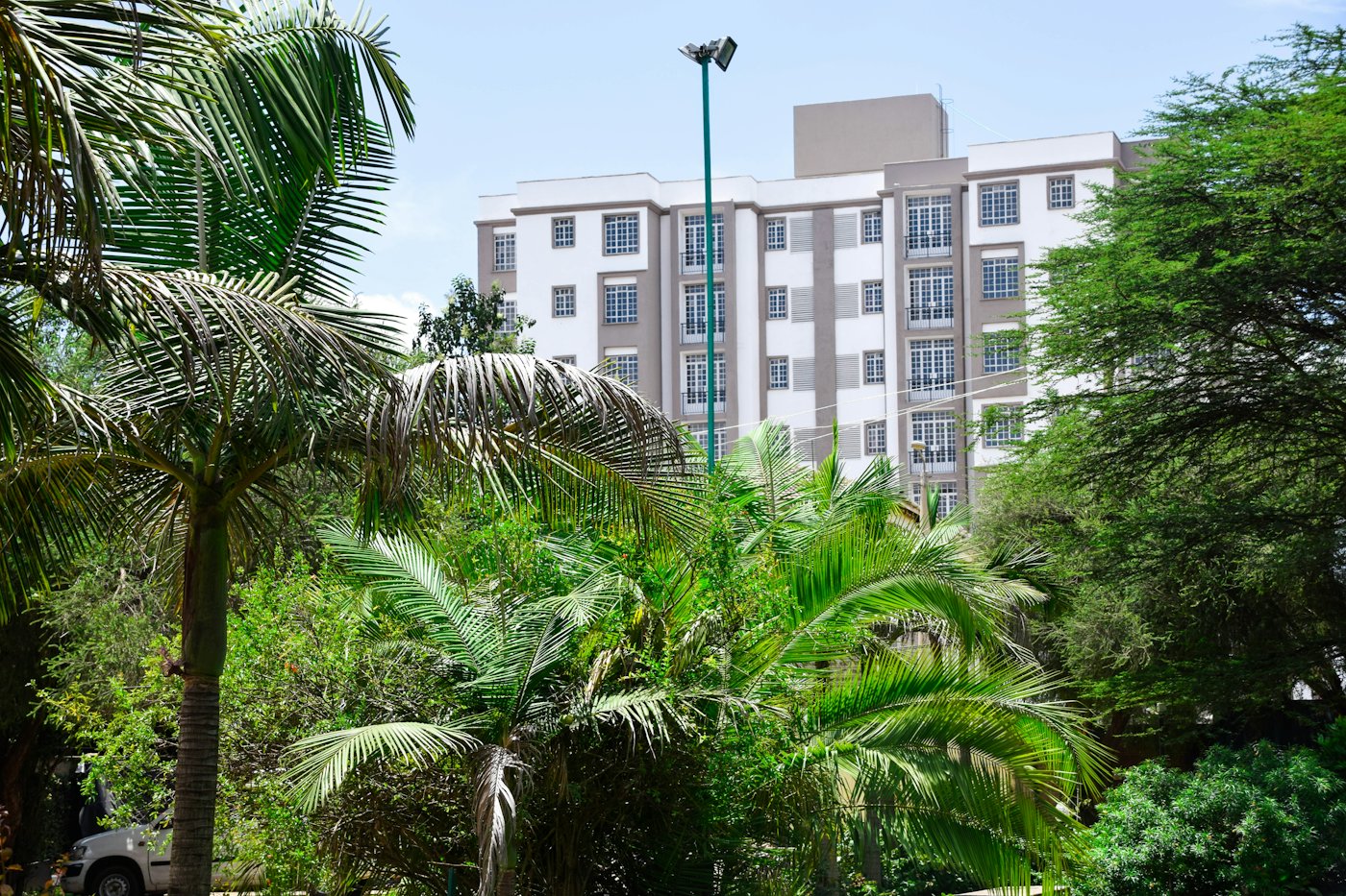 White apartment block behind palm trees on a sunny day