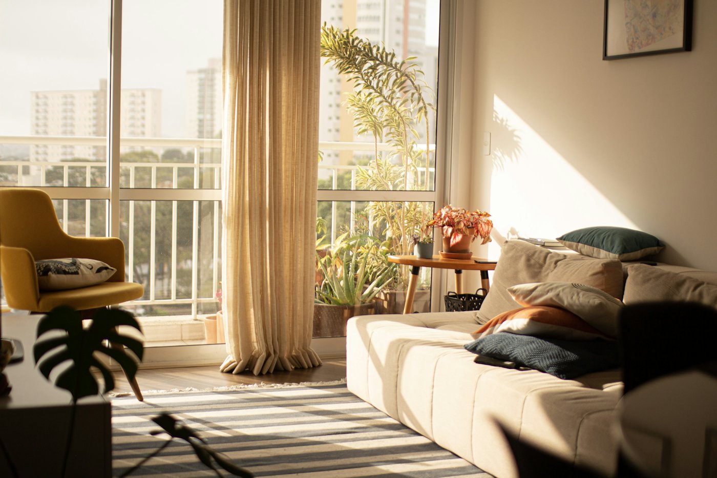 Sunlit living room with a sofa, plants and a balcony door